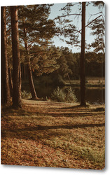   Постер Пруд в лесу