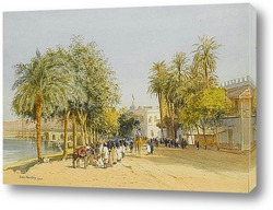  Рынок в Каире
