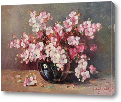  Розовые пушистые цветы