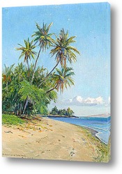   Постер Гавайский пляж с пальмами, 1932