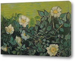    Дикие розы, 1890
