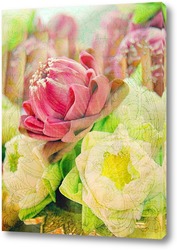  Розовый тюльпан