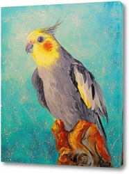  Картина Попугай корелла