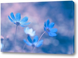   Постер Голубые цветы на нежном фоне