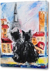    Кошки в Париже