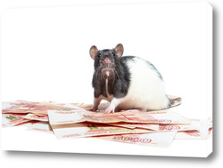    Крыса с деньгами.