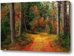    Осенний лес