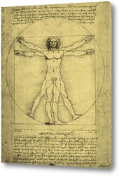   Постер Leonardo da Vinci-25