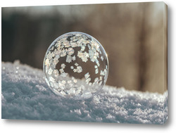   Постер Замёрзший мыльный пузырь на снегу
