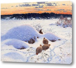  Косуля в снежном лесу