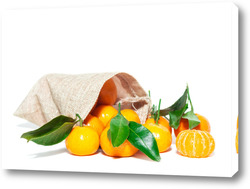    Pile of mandarins with leaf isolated on white background