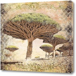    Баобабовое дерево