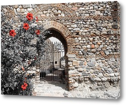   Постер Красные цветы перед аркой в крепости Малаги