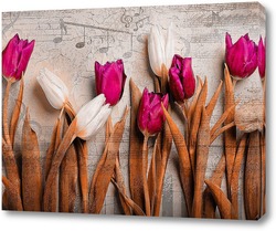  Красочные тюльпаны