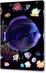   Постер Синяя рыба