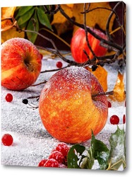   Постер Яблоки на снегу.