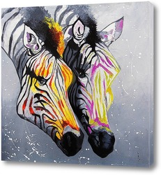   Постер Цветные зебры