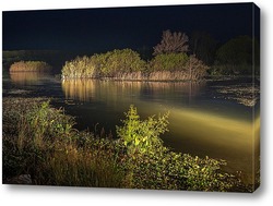    Заросшие густой растительностью островки на ночном озере освещённом светом фар 