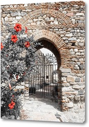    Красные цветы перед аркой в крепости Малаги