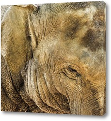   Постер Улыбка слона
