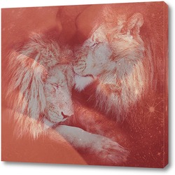   Постер Влюбленные львы