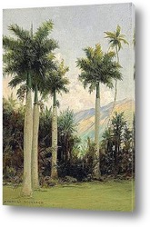  Гавайский пляж с пальмами, 1932