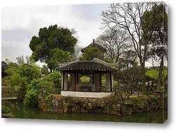    Китайский сад