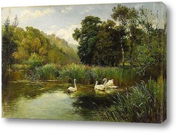   Постер &#8203;Лебеди в озере