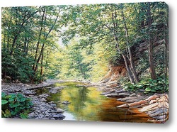   Картина Река Папайка