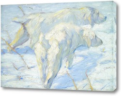    Сибирские Собаки в снегу