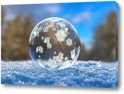    Замёрзший мыльный пузырь в зимнем лесу