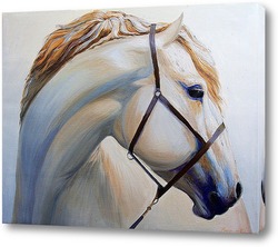   Постер Портрет лошади