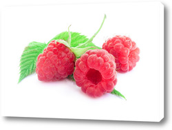    Raspberry on white background
