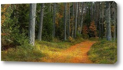    Осенний лес