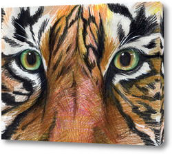   Постер Глаза тигра