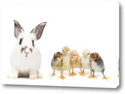   Постер кролик и курица