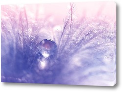   Постер Перо с каплями воды и нежными оттенками голубого и розового 
