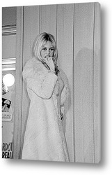   Постер Brigitte Bardot-15