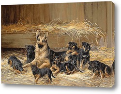   Постер Немецкая овчарка со щенками