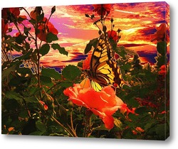   Картина Бабочка и роза