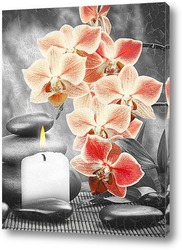  Орхидея и колонны