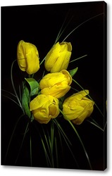    желтые тюльпаны