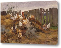  Постер Курицы во дворе