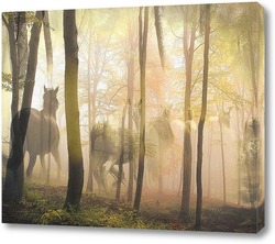    Лошади в лесу