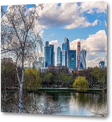    Береза и высотки Москвы Сити