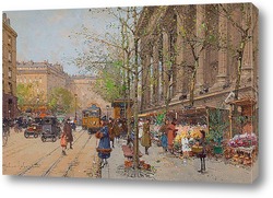    Цветочный рынок на площади Мадлен