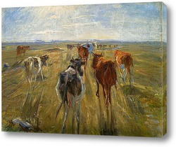   Картина Крупный рогатый скот на острове Сальтхольм, 1890