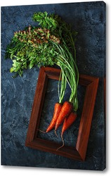   Постер Свежая морковка. Портрет