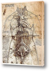   Картина Leonardo da Vinci-39