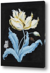   Картина Тюльпан и бабочки